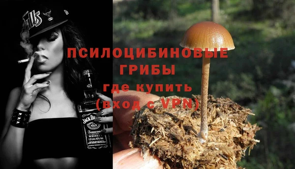 spice Баксан